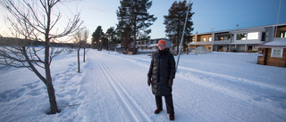 Turist sparkades ner av älg i Jokkmokk