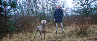 Hundpark söker medlemmar och sponsorer