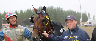 Här är nomineringarna till travgalan