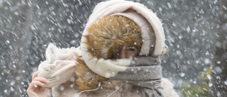 Varning för snöfall och hårda vindar