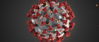 Första Coronafallet i Norrbotten
