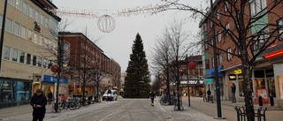 Gigantisk gran fick ta omvägar till Storgatan