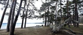 Överklaganden hotar försena Lalandia igen