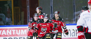 Toolanen lämnar Boden Hockey – klar för annan division 