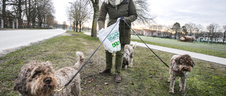 Hon avskyr skräpet:"Jag blir så himla ledsen"