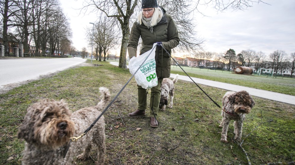 Anna Norrsell med sina lagotto romagnolo-hundar Siri, Edda och Ville.