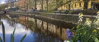 Låt oss göra en sommaridyll av Uppsala