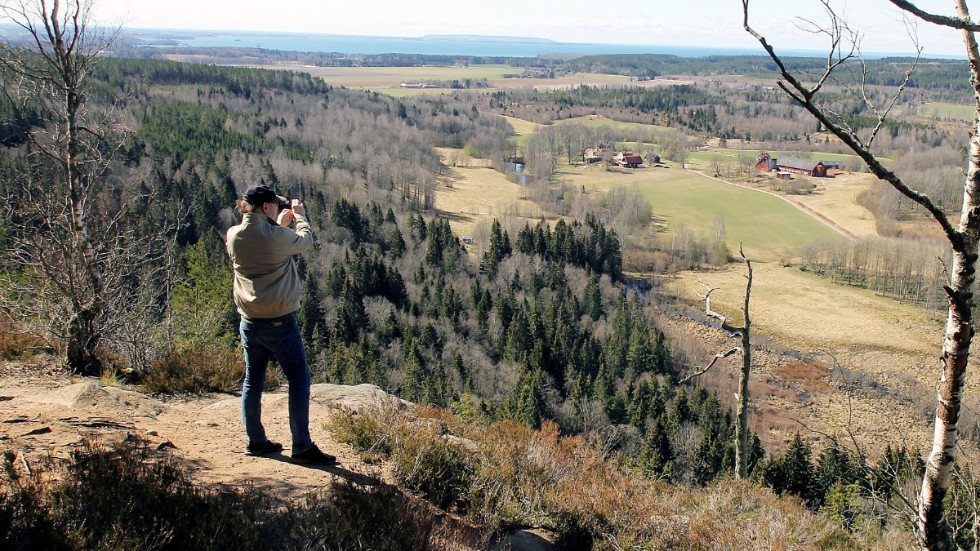 Längs tvåkilometersleden i Hålebergets naturreservatet finns flera utsiktsplatser. Härifrån syns vid klart väder Vadstena, Omberg och Nykyrka.