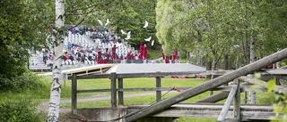 Ny kulturpark vid Medlefors – utredning ska göras