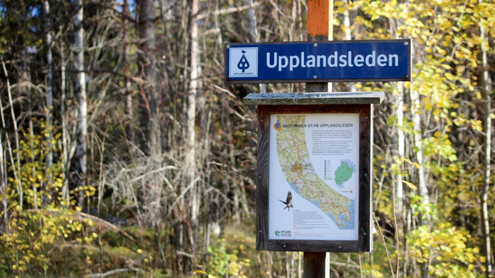 En del i satsningen är arrangerade vandringar på Upplandsleden. 