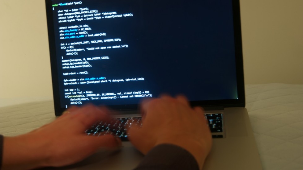 Sju myndigheter beskriver i två rapporter cyberhoten mot Sverige. De hoppas på att ett nationellt cybersäkerhetscentrum inrättas i år. Arkivbild.