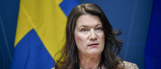 Linde: Fel bild av Sverige