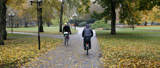 Nytt ljus ska göra Stadsparken tryggare