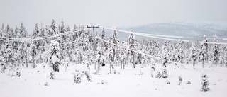 Väder: Mulet väder med snöfall