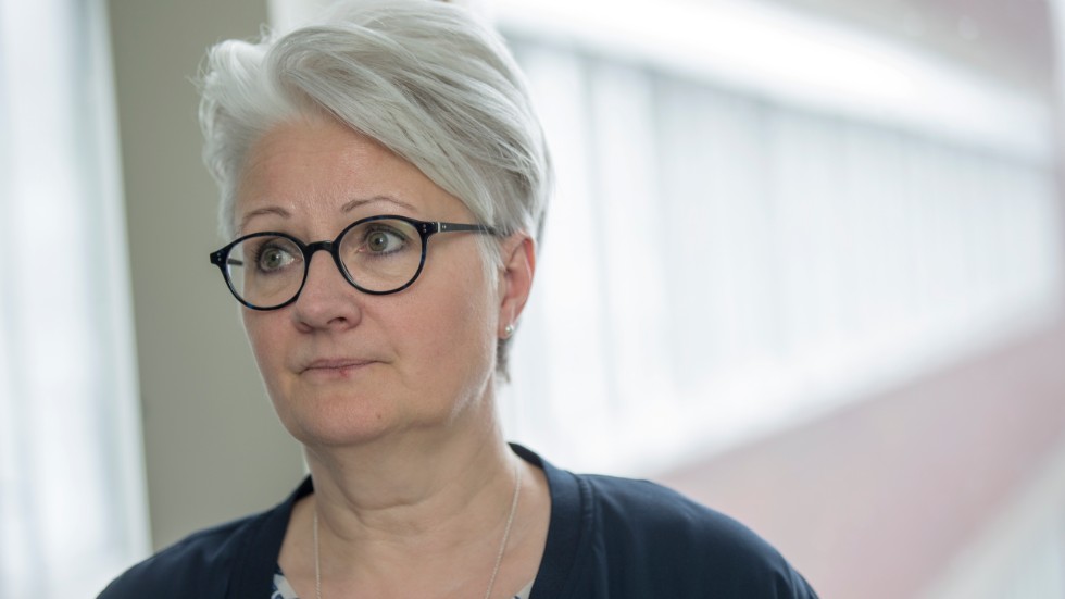 "Det handlar om mark som är detaljplanerad som parkmark. Alltså till för alla" säger enhetschefen Helen Eriksson. (Arkivbild)