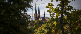 Hösten börjar drar in över Uppland