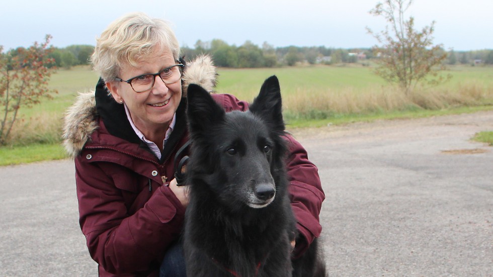 Anita Axby hämtar femåriga Gaya, en Groenendael (belgisk vallhund) som är på inskolning på sitt nya dagis.