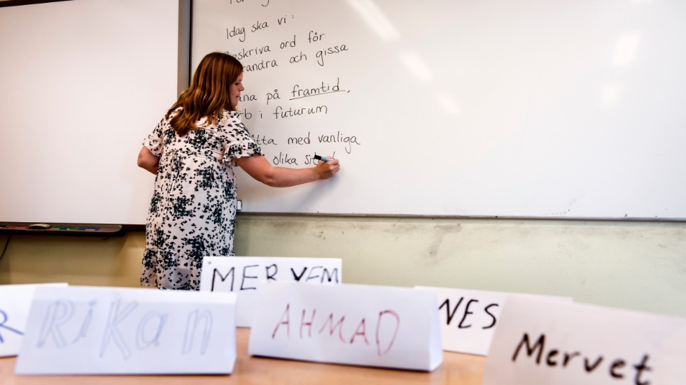 "Det är vår förhoppning att om Region Gotland tillförs extra ekonomiska medel, att en del av dessa öronmärks för att långtidssäkra SFI-utbildningarna i både Hemse och Fårösund".
