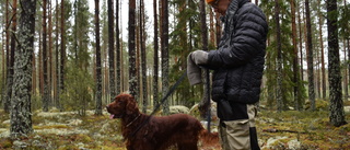 De söker efter fornminnen – hunden Pompe hänger på