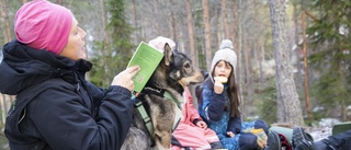 Skolhundarna Qingen och Tage skapar glada lektioner för eleverna