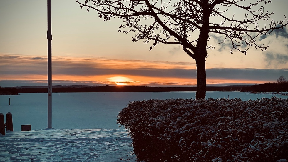 Dagens läsarbild.