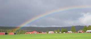 Ekohumanism – en väg till en grön omställning 