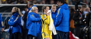 Asllani: "Trött på jävla mästerskapstårar"