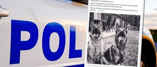 Polishundar hyllas på Facebook