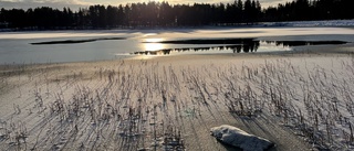 Dagens läsarbild: Underbart väder vid Nyborgstjärn