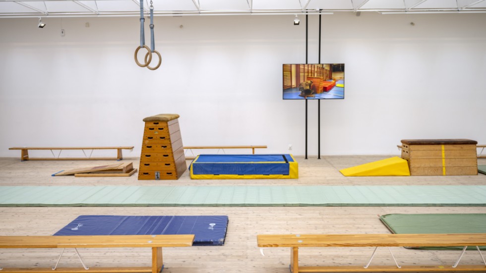 Verket "Paddan" är en video inspelad i en gymnastiksal. På plats i konsthallen ges också performanceverket "Redskapsgymnastik" i november.