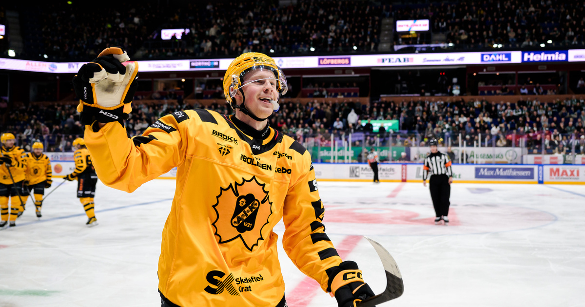 Skellefteå AIK: Lyckan total för Ludvig Warg efter debuten: ”Helt ofattbart”