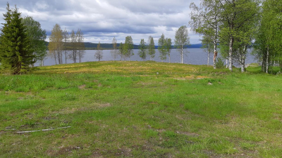 När Arjeplogs kommun gjorde sin inspektion ett år efter klagomålet hade gräset börjat växa igen på den schaktade tomten. Kommunen krävde att den nya ägaren planterar 400 björkar, men kravet pausades när den nya ägaren ansökte om strandskyddsdispens. (Arkivbild)