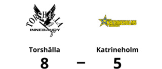 Katrineholm föll med 5-8 mot Torshälla