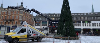 Boende ryter ifrån: Plastgranen på Stora torget – en styggelse