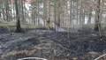 Larm om gräsbrand vid kommunhuset
