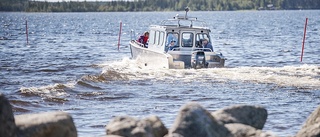 Sommartipset: Ön som överraskar – ”Där här är lilla Saltkråkan”