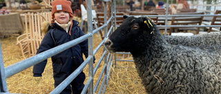 Lokalproducerat och snälla får att klappa lockade till Ändebols julmarknad