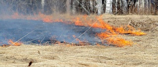 Gräsbrand vid Mobackendammen