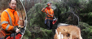 Stormfälld skog – en livsfara • Varnar ovana att ge sig ut: ”Det farligaste man kan hålla på med”