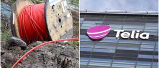 Först anmälde de Telia • Nu ber fiberföreningarna Region Gotland om hjälp • Kräver kraftfullt agerande 