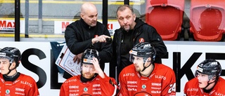 Hästen-tränaren om succén: "Har fått lära sig spela hockey"