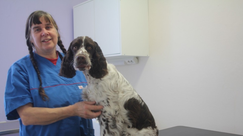Åsa Bergvall, som driver smådjursmottagning i Bersbo, knappa milen utanför Åtvidaberg, kan inte täcka upp behovet av veterinärvård när Distriktsveterinärerna lägger ner sin smådjursmottagning i Åtvidaberg. "Jag vill trappa ner", säger hon. 