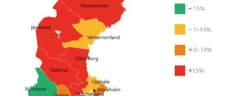 Stakt näringsliv trots ökade konkurser