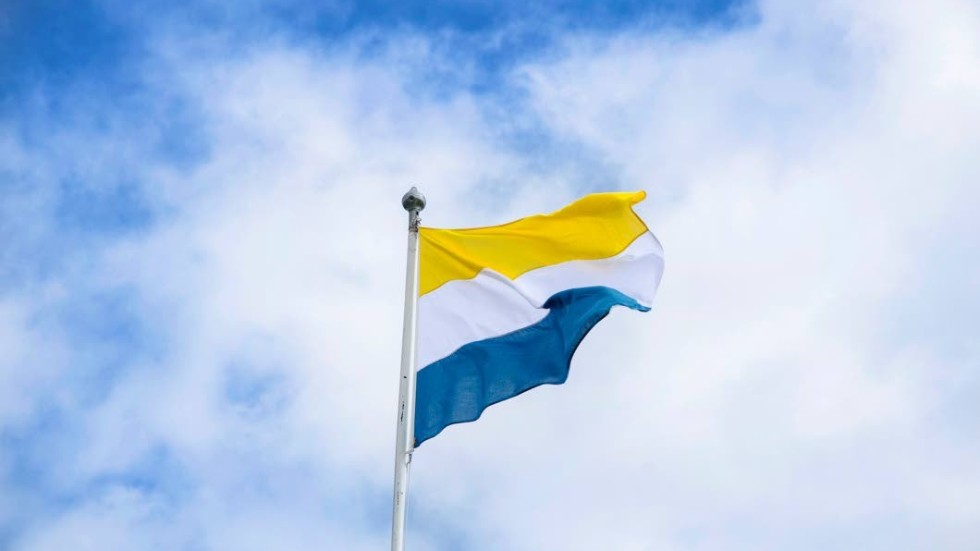 Tornedalsflaggan är en symbol för minoritetsspråket meänkieli.