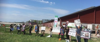 Kosläpp lockade demonstranter