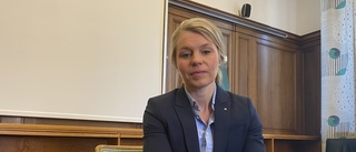 Moderaterna säger nej till Holmens vindkraftsplaner