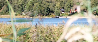 Strandskyddsfrågan splittrar kommunstyrelsen