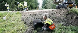 Här görs "övergångsställen" för uttrar