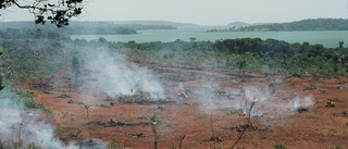 Är vinsten verkligen viktigare än klimatet?