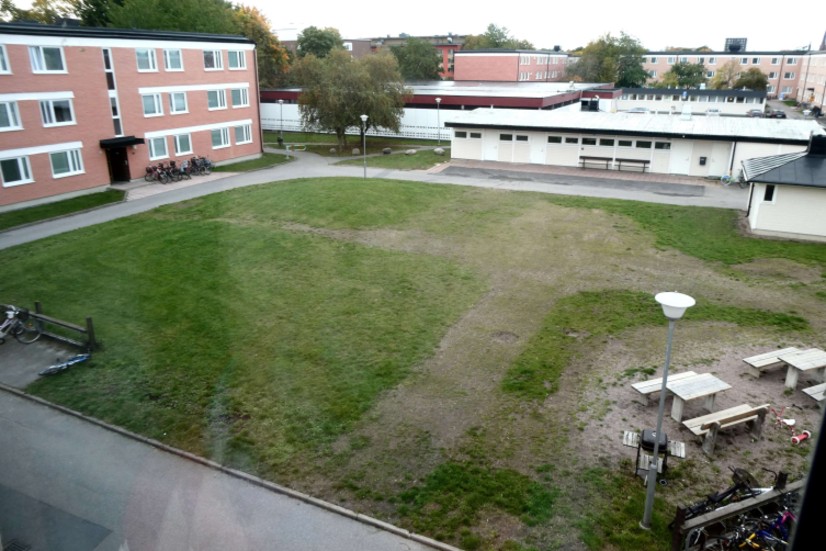 Ännu har inga av de utlovade träden planterats på gårdarna i Gränby,  skriver sju representanter för den lokala hyresgästföreningen.